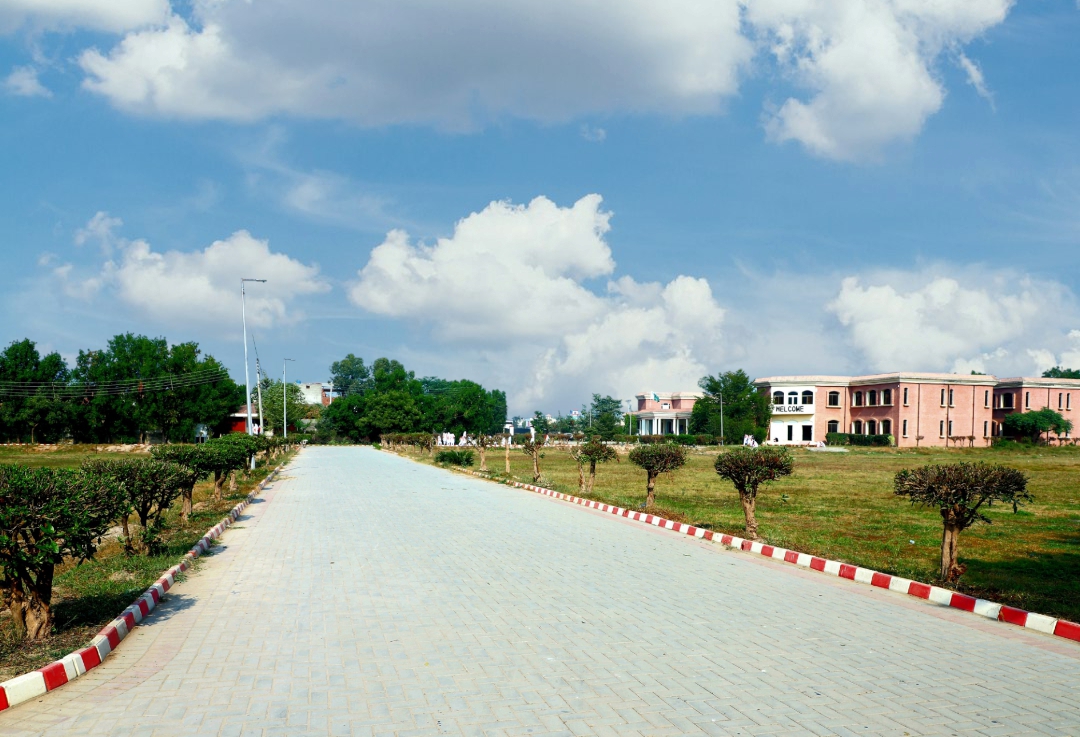 World Environment Day